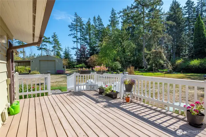 Come and enjoy this serene property with its amazing variety of mature trees and pathways.