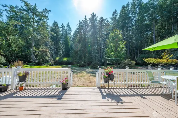 The view from the back deck.