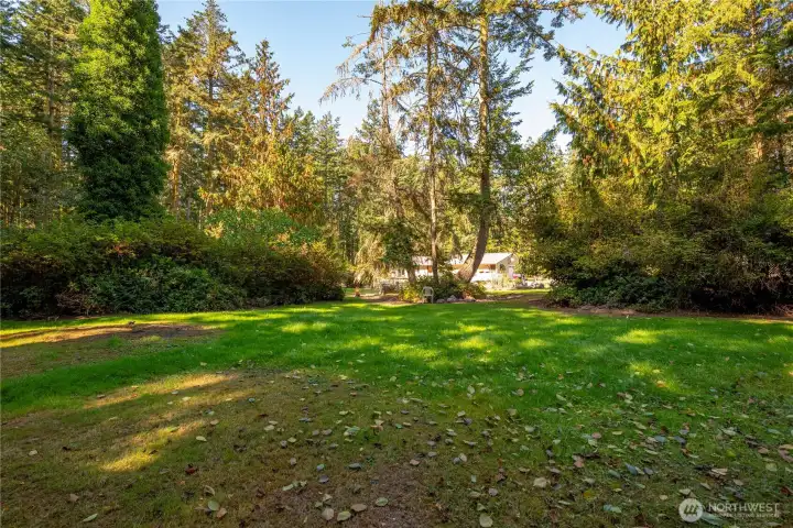 View toward the house from the back yard.  There is so much space and beautiful cleared pathways, this property is simply delightful!