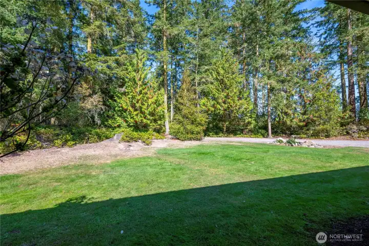 The view from the front porch toward the driveway entrance.