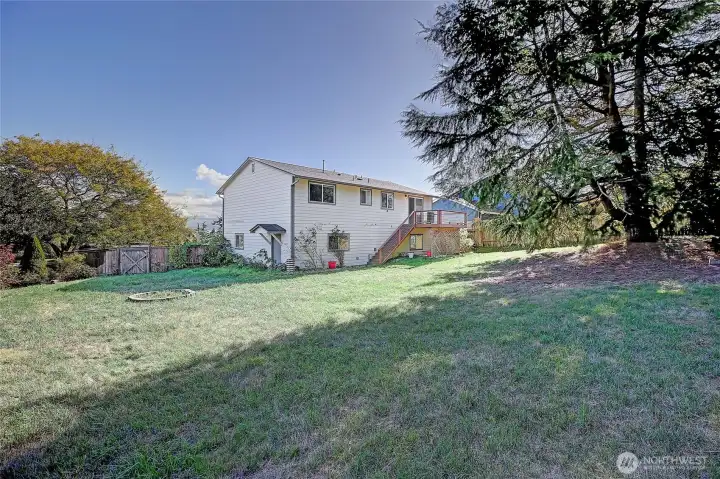 Back and Side Yard