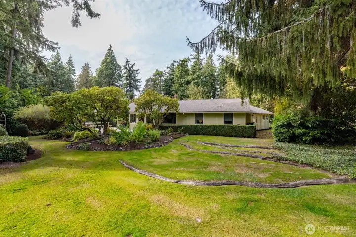 A view from the backyard looking toward the back of the house. Guest bedrooms are the two similar windows along the back of the house. Large window near the center is the den.  Far left is the kitchen/breakfast nook, with the deck outside.