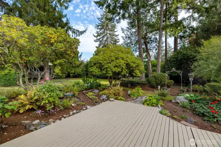A view of the yard from the deck.