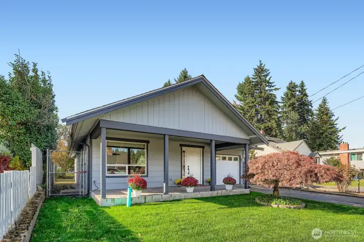 Lush green new sod recently laid and a 50 year old, mature Japanese Maple in front.