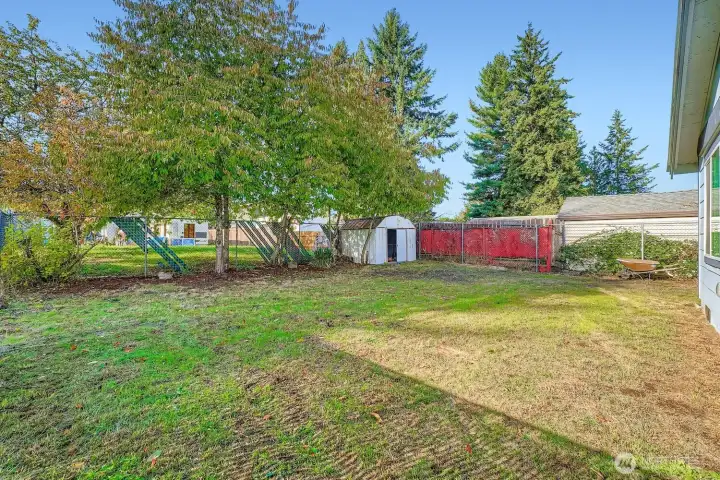 Perfect place for dogs to run free all day!