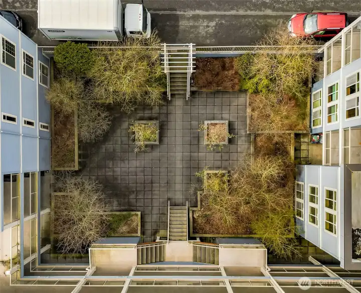 Photo taken prior to tree removal in the courtyard.