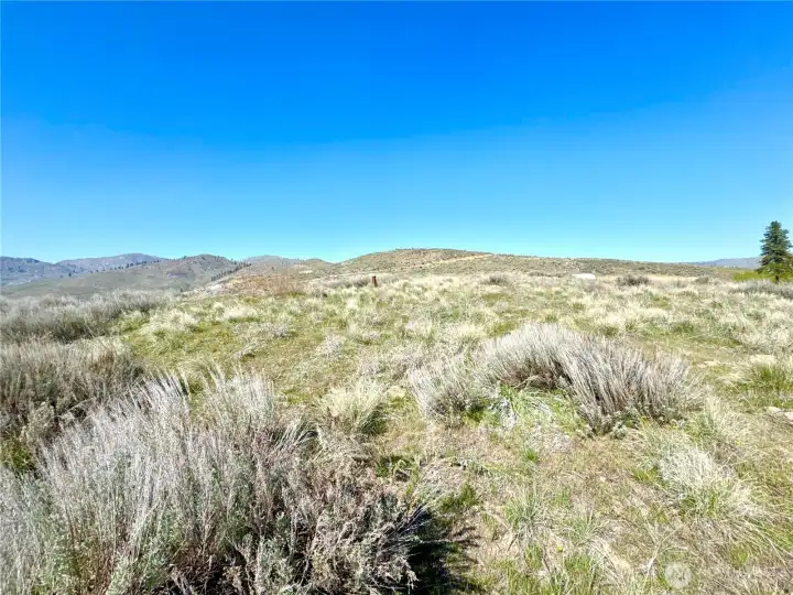 Plentiful level building areas