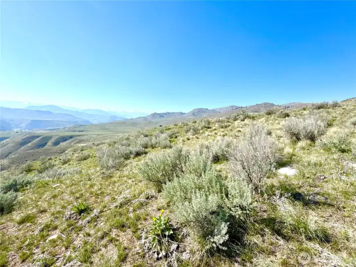 Lower area of lot below road