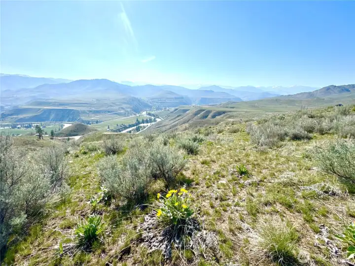 Lower area below road