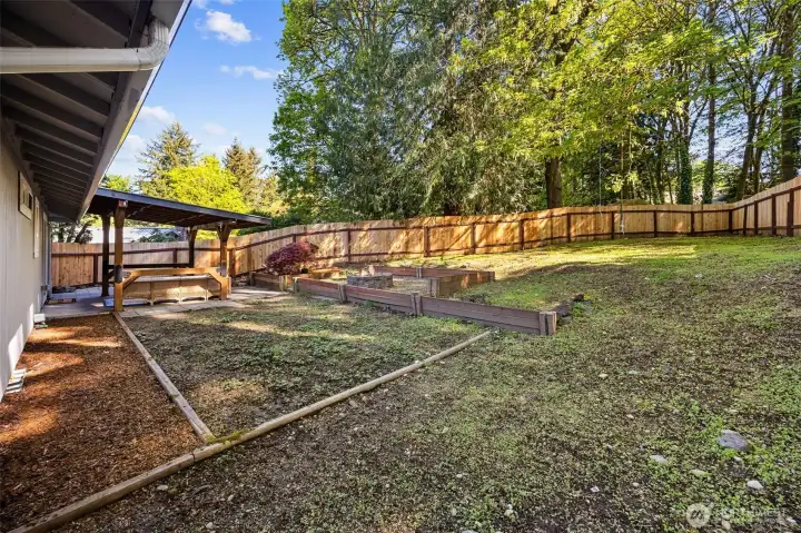 Looking at the back yard from the garage side.