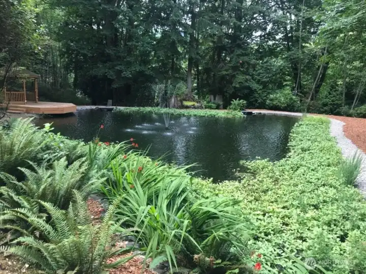 Koi pond with waterfall fountain and 30 Koi Fish and gazibo