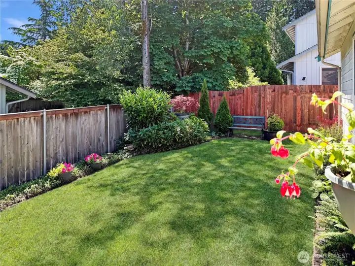 Lush lawn, fenced with lots of room for planting.