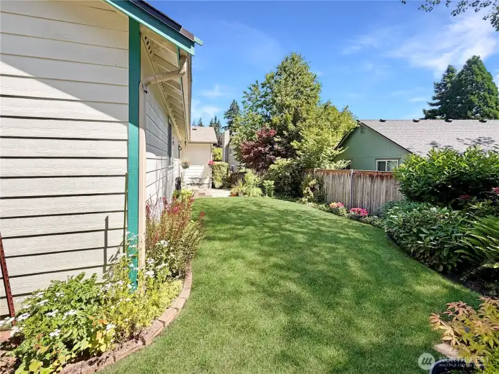 Another rear yard view.