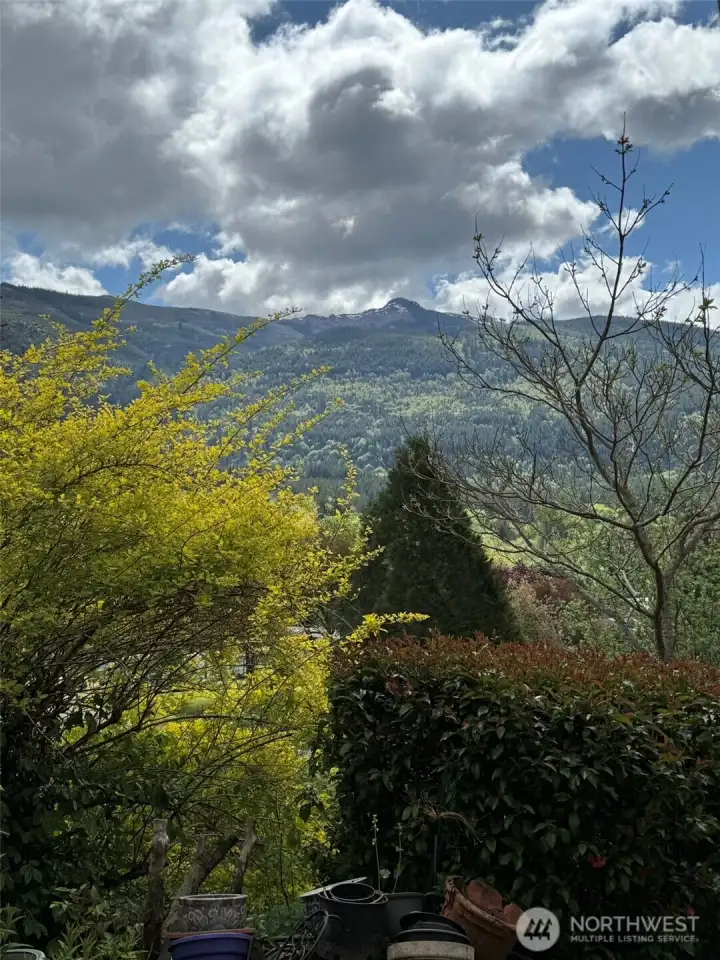 More of the view...from the living room