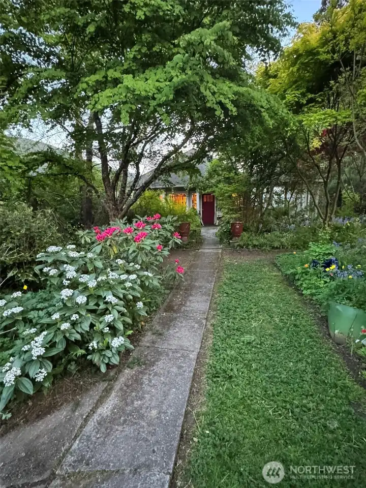 One of many paths