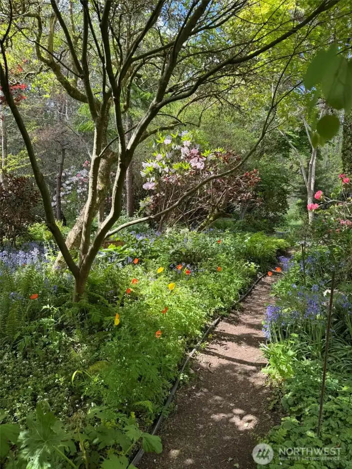 Paths throughout the sun and shade gardens