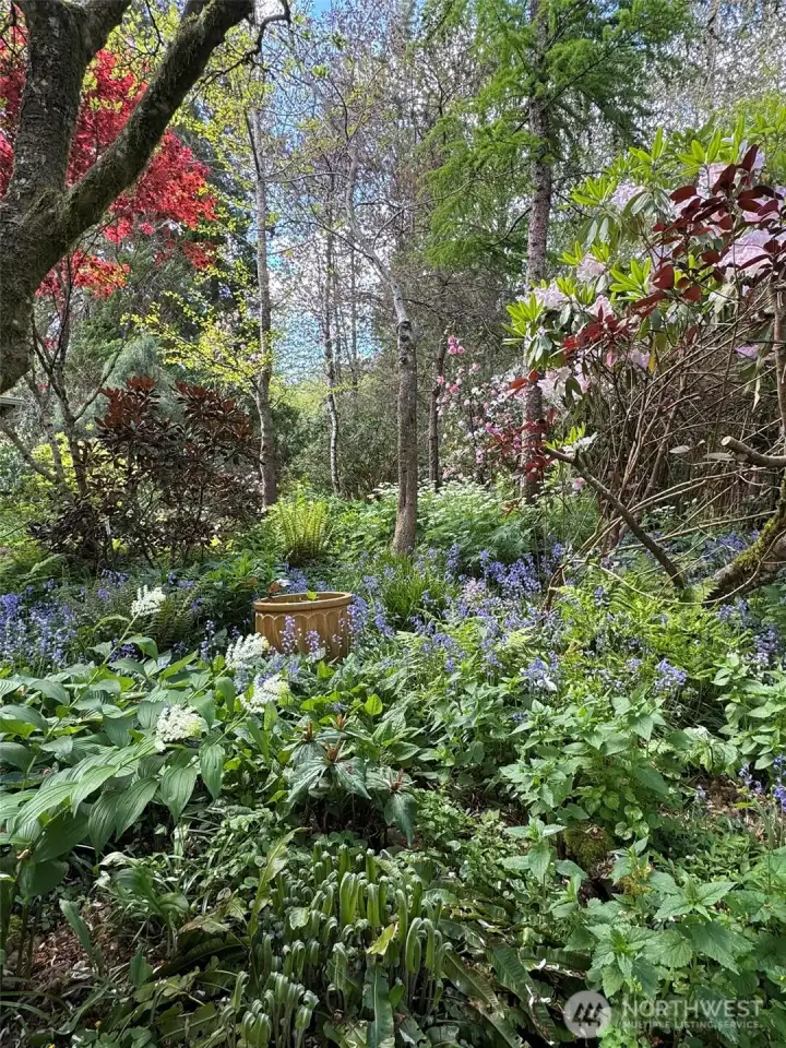 Nirvana