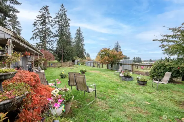 Main Residence Back Yard