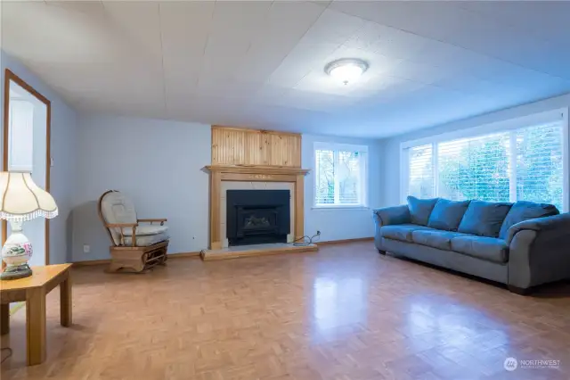 Living room with fireplace