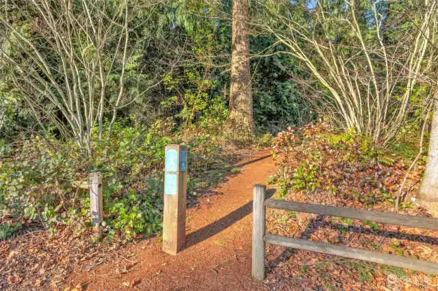 Bellevue trails and Ardmore Park access at the end of the street in the curb.