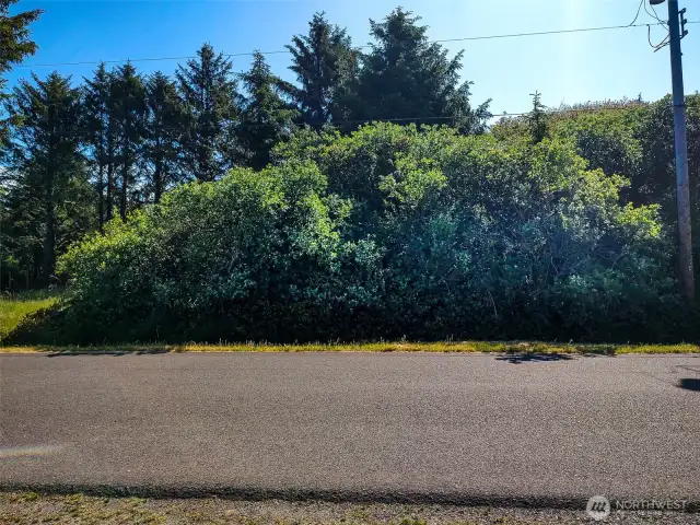 Westside view of lot