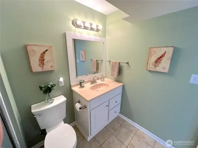 lower floor bathroom