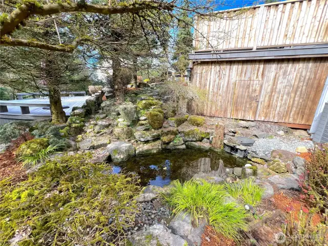 pond