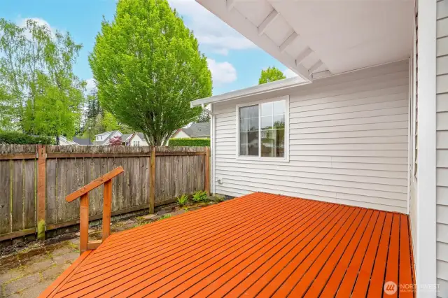 Back Deck