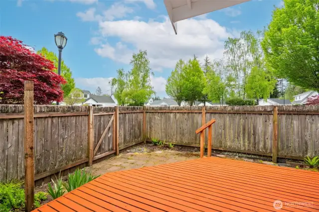 Back Deck