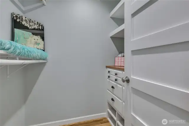 Primary Walk-in Closet