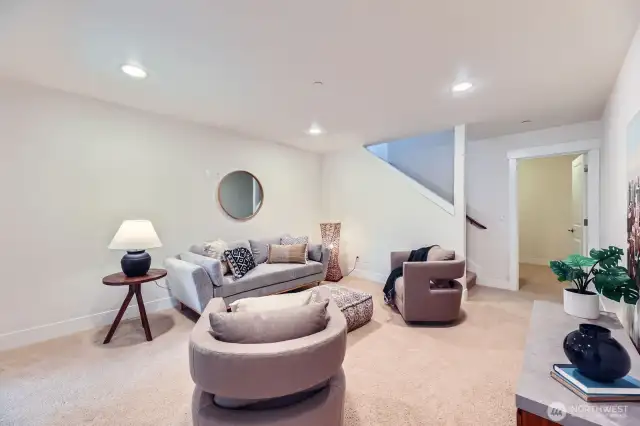 Lower level media room - great for movie watching! - and 8x10 extra finished room.