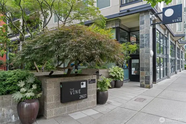 The Vine main entrance