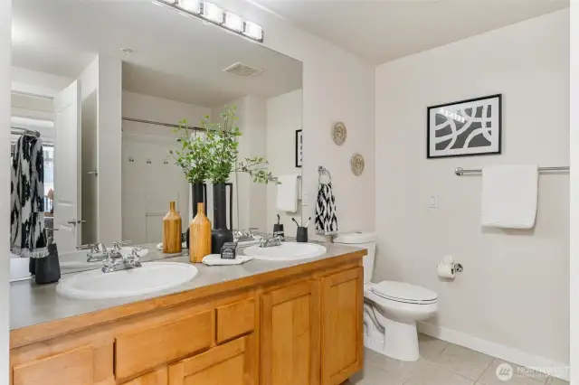 Large two vanity sinks