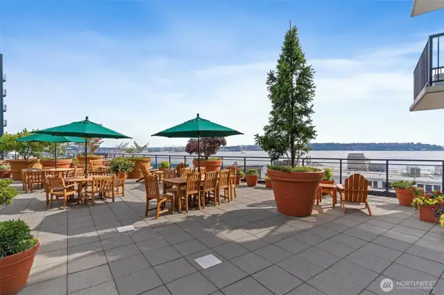 Roof top Terrace