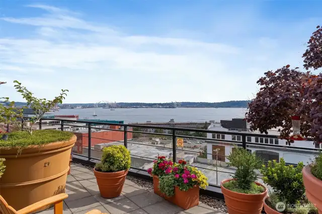 Beautiful views of Mount Rainier and the new Waterfront Park