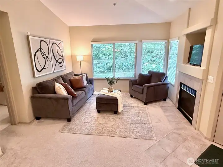Enjoy woodsy outlook and gas fireplace from living room.  Note gas is included in HOD!