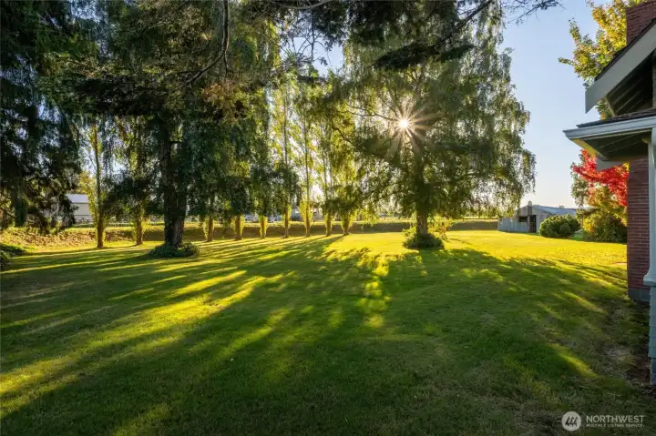 Looking towards the river from front of the home.