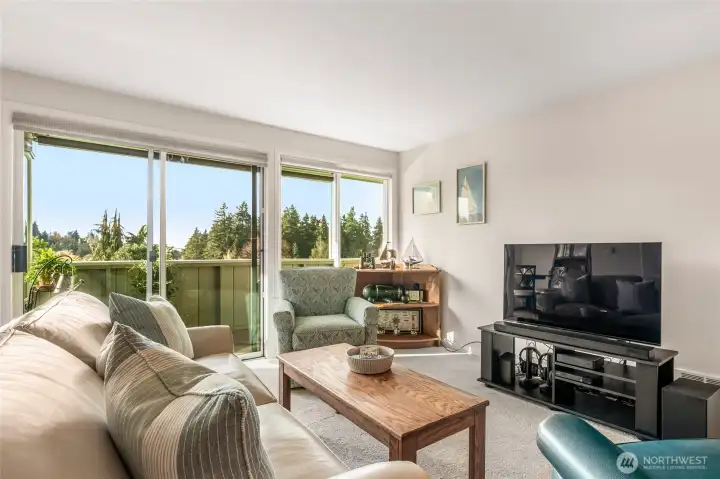 Living room from dining room