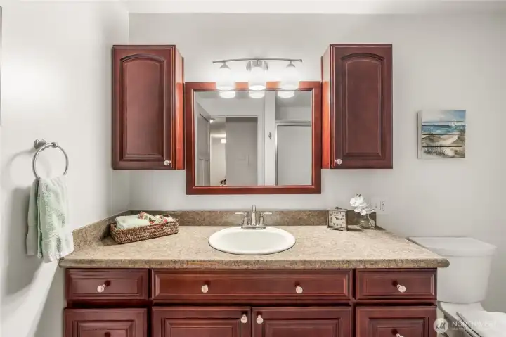 Large bathroom vanity