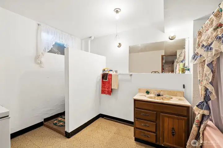 Lower Level bathroom