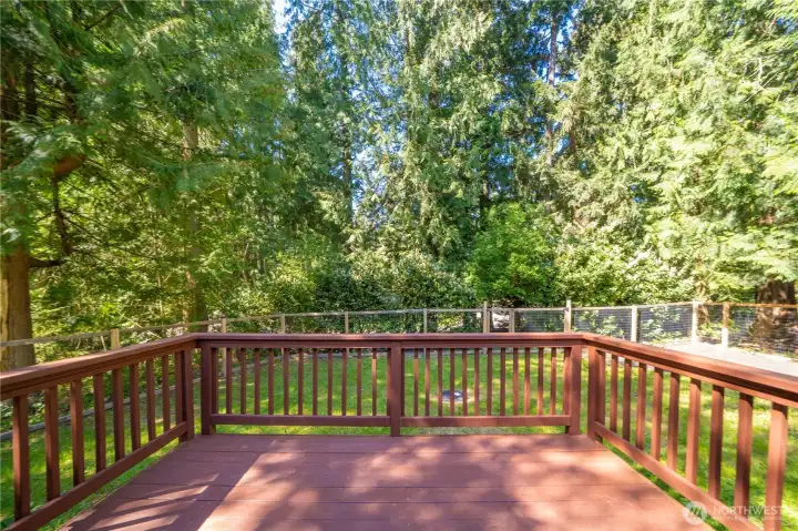 Brand new deck overlooks private yard