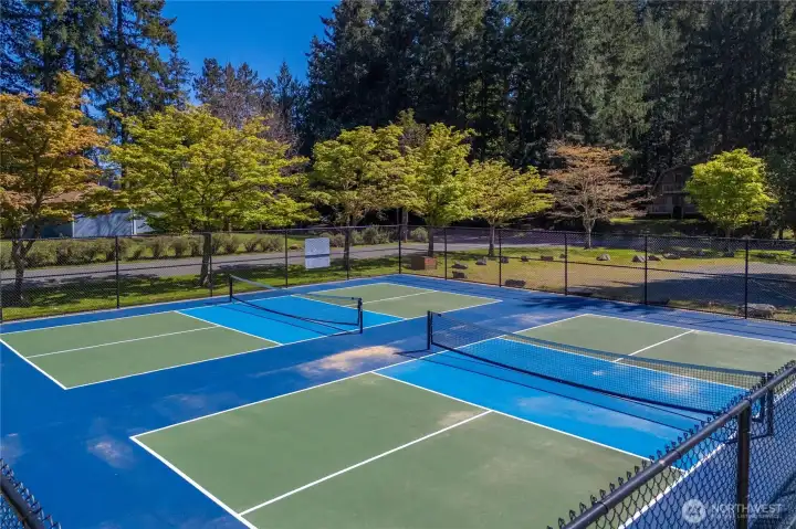 Pickleball courts