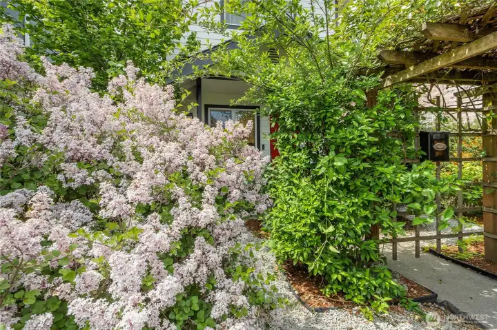 Spring is in full bloom here, roses line the top of your pergola! This home is only blocks away from the new Tacoma link light rail and Fish house cafe!