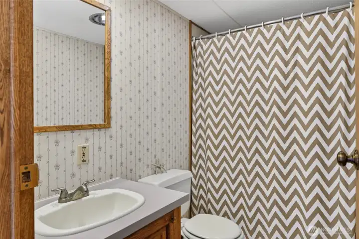 Second Bath off the hallway