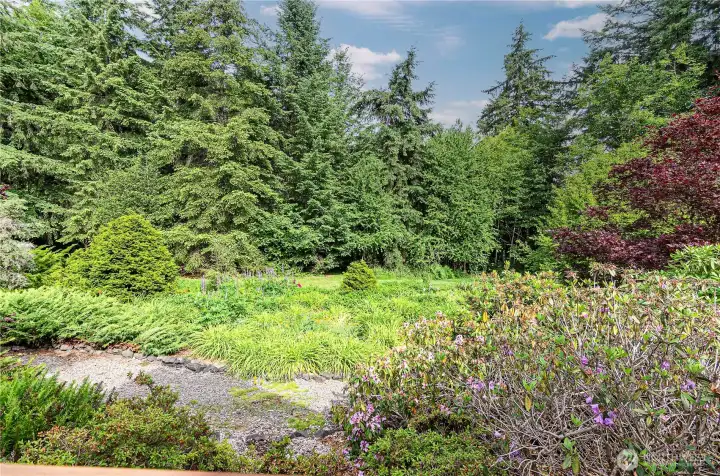 Meandering paths run through the back yard. Each season offers colorful blooms Meandering paths run through the back yard. Each season offers colorful blooms