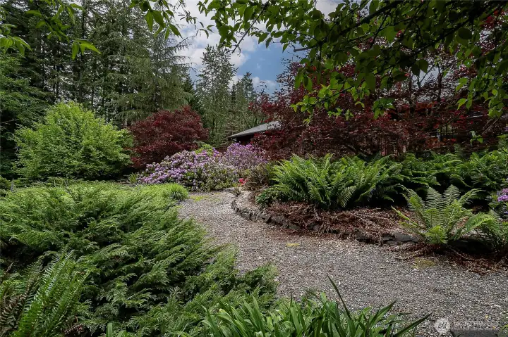 Lush mature landscaping Lush mature landscaping