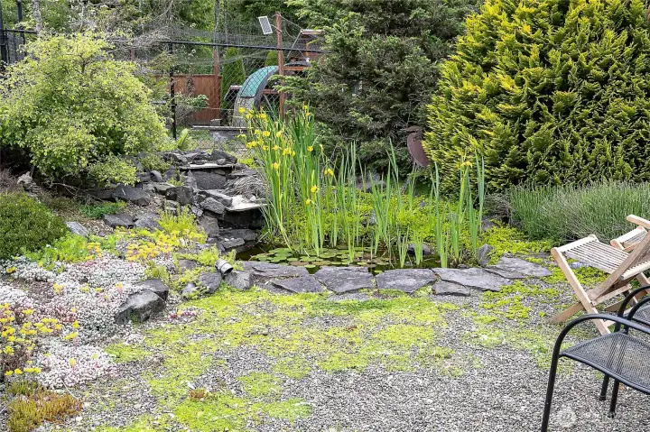 Another view of the pond. Another view of the pond.