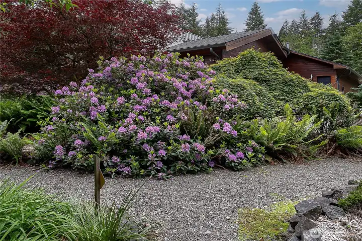 Mature landscaping.. Loads of blooms year around. Mature landscaping.. Loads of blooms year around.