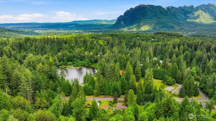 Aerial view of the park!