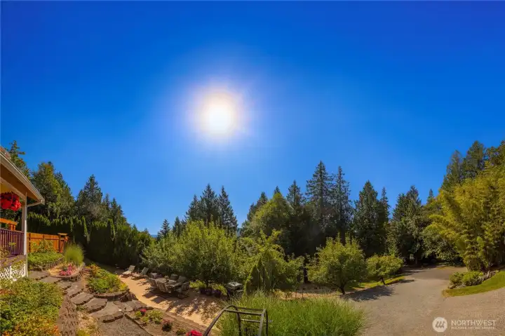 Abundant Sunlight! Abundant Sunlight!